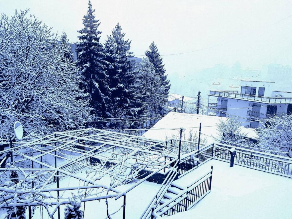 Guest House Casa room 6